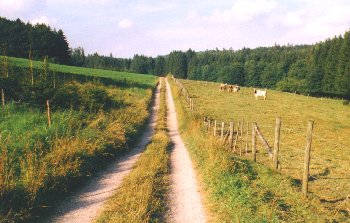 Aulbachtal Landschaft
