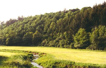 Bernsbusch Landschaft