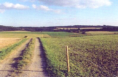 Bild Südblick Nähe Dorsel