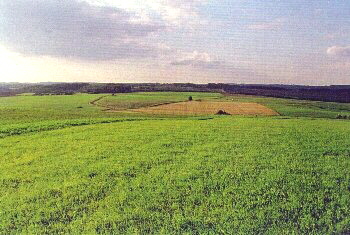 Bild Lommersdorfer-Landschaft