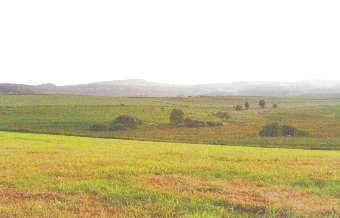 Detzenberg / Mittelheide Landschaft