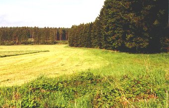 Dreiser H&ouml;he Landschaft