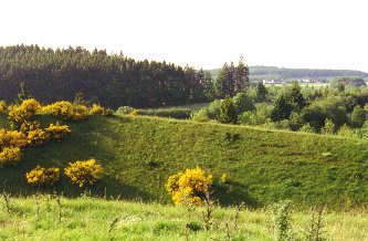 Gebrannter Berg / Hörscheid Landschaft