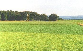 Gericht Landschaft