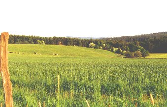 Auf`m H&ouml;rsch Landschaft
