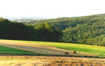 Wüstung Hof Heyer Landschaft