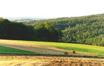 W&uuml;stung Hof Heyer Landschaft
