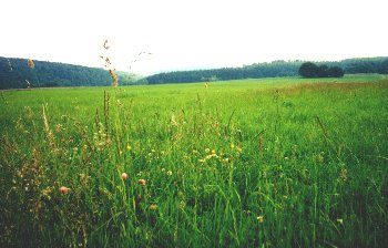 Hollersseifen/Willesper Berg Landschaft