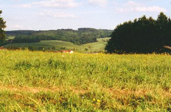 Staatsforst / Jockel-Berg Landschaft