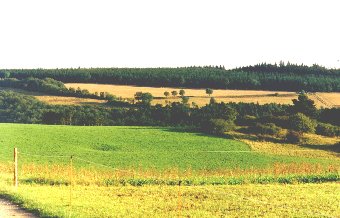 Ahrtal/Mordh&uuml;gel Landschaft