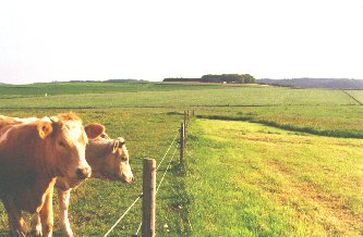 Rengen Landschaft